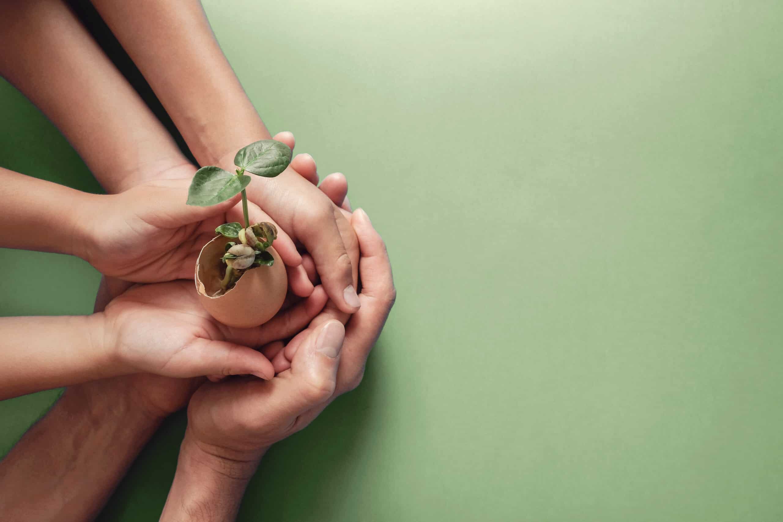 sustainable graphic